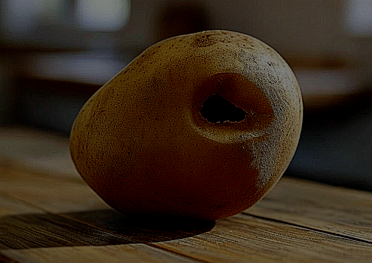 SAV-0008